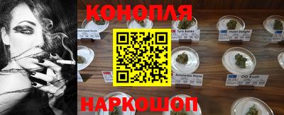 дживик Можга