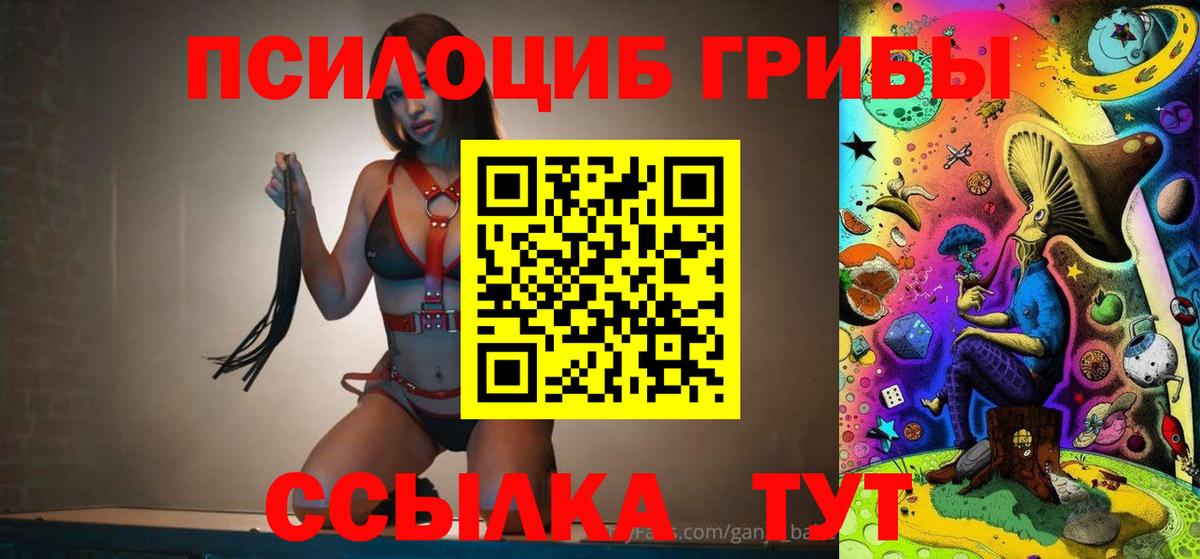 Галлюциногенные грибы мицелий Гусь-Хрустальный