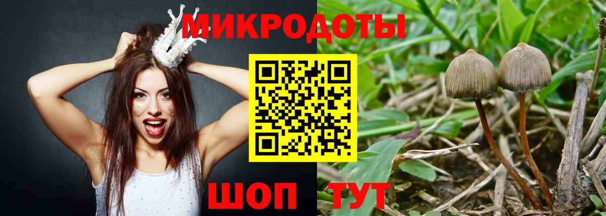 Псилоцибиновые грибы Magic Shrooms  Псилоцибиновые грибы ЛСД  Гусь-Хрустальный  Вход с VPN 